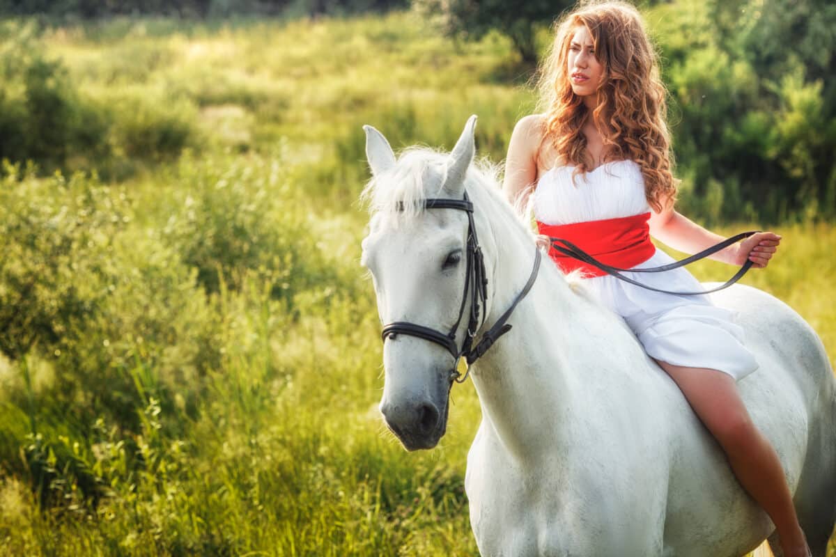 Beautiful lady in white dress riding on white horse