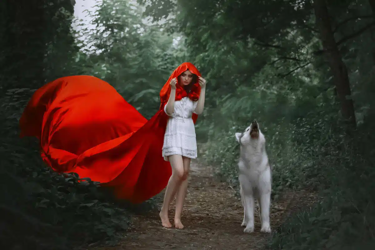 fabulous girl with dark hair in short light white dress covers her head with hood of long bright red flying fluttering raincoat, walks bare bare feet along forest path, wild wolf howls beside