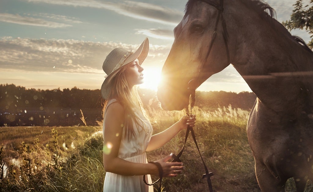Attractive woman with a majestic horse at sunrise.