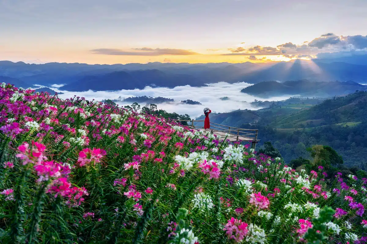 a woman in a red dress standing in the sea of mist and flower garden