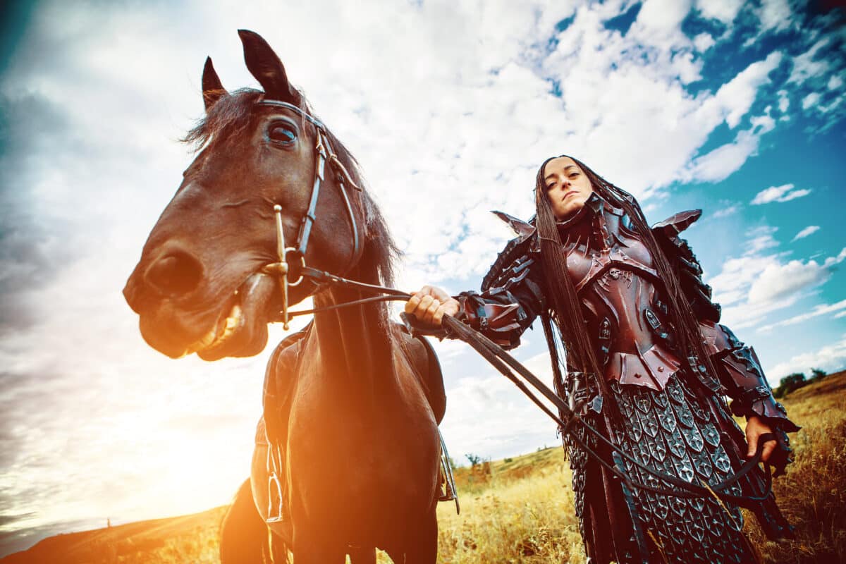a medieval knight with a horse against the sunset in the field