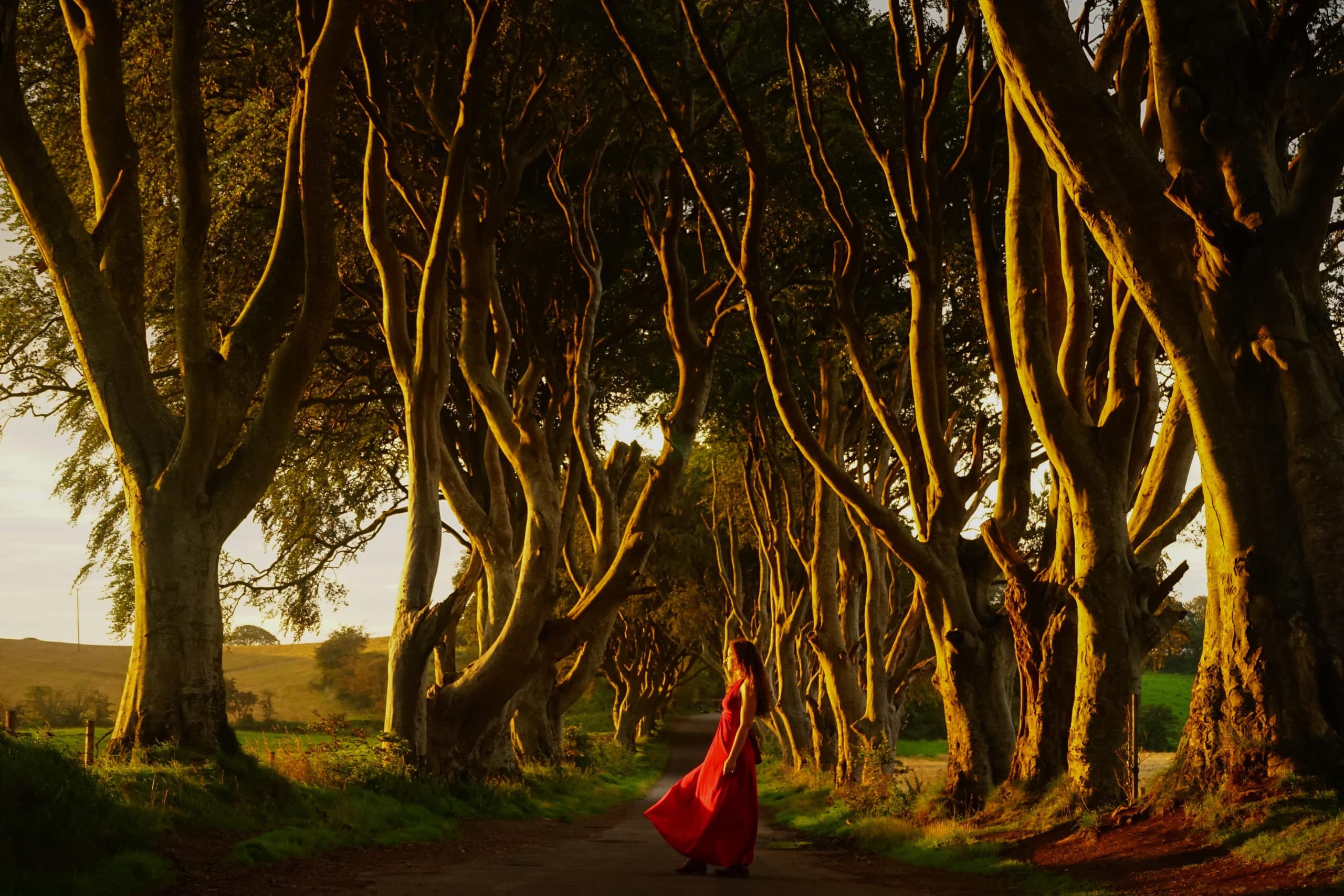 Magical morning light, trees, over enchanting woman with wavy hairs in red dress.