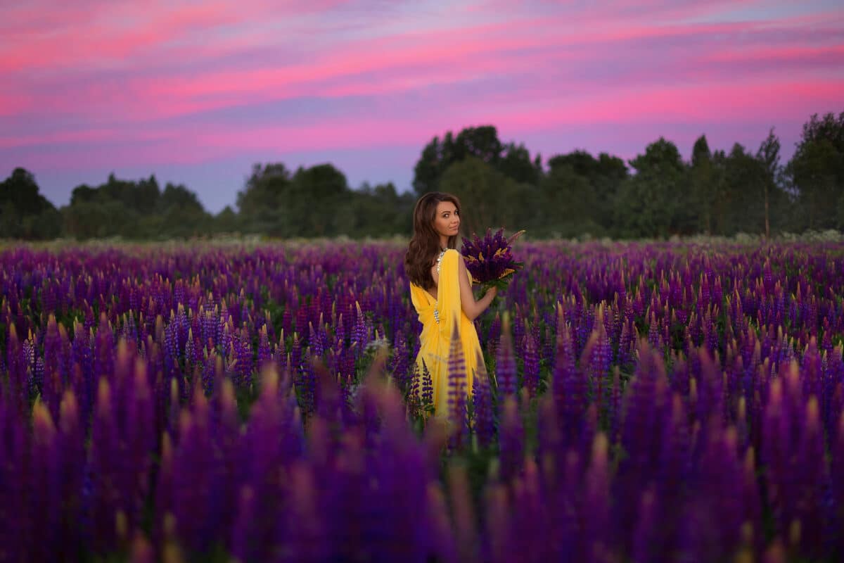 A beautiful girl in a long yellow dress against the background of a blooming purple lupine field and a bright sunset sky.
