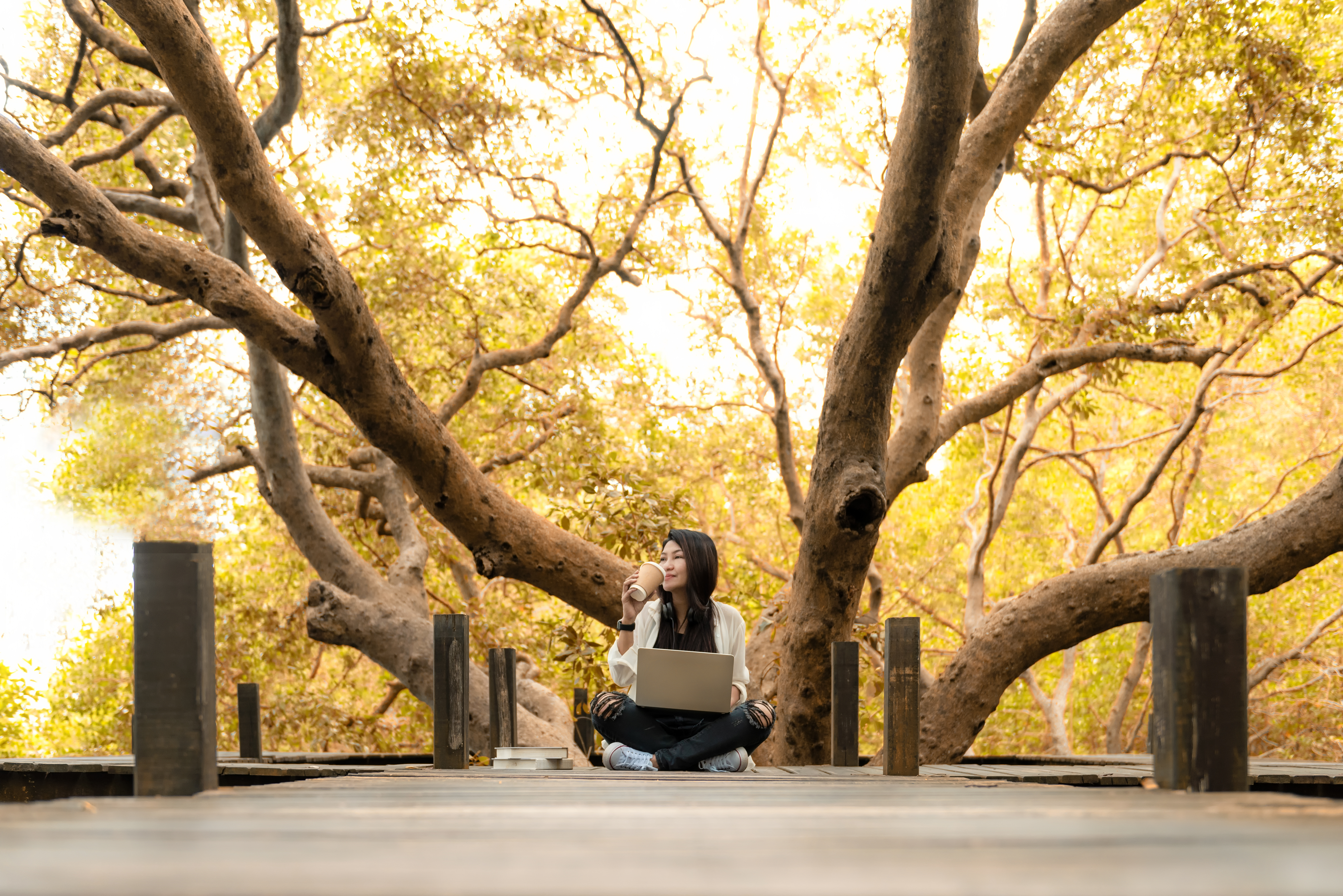 Asian woman sitting on wood bridge working on laptop, a beautiful tree behind her.