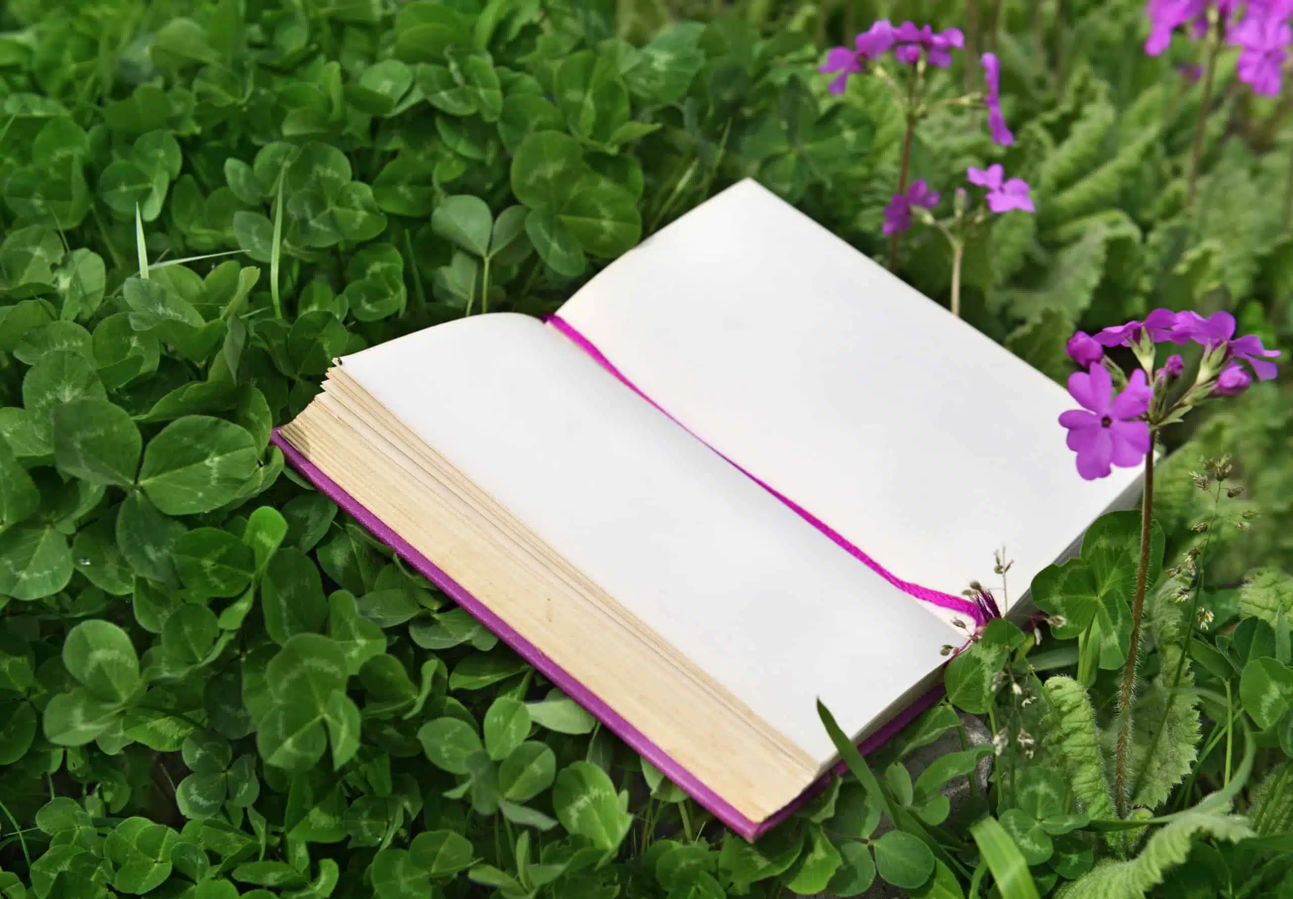 Open notebook laying on a field of clovers and purple flowers.