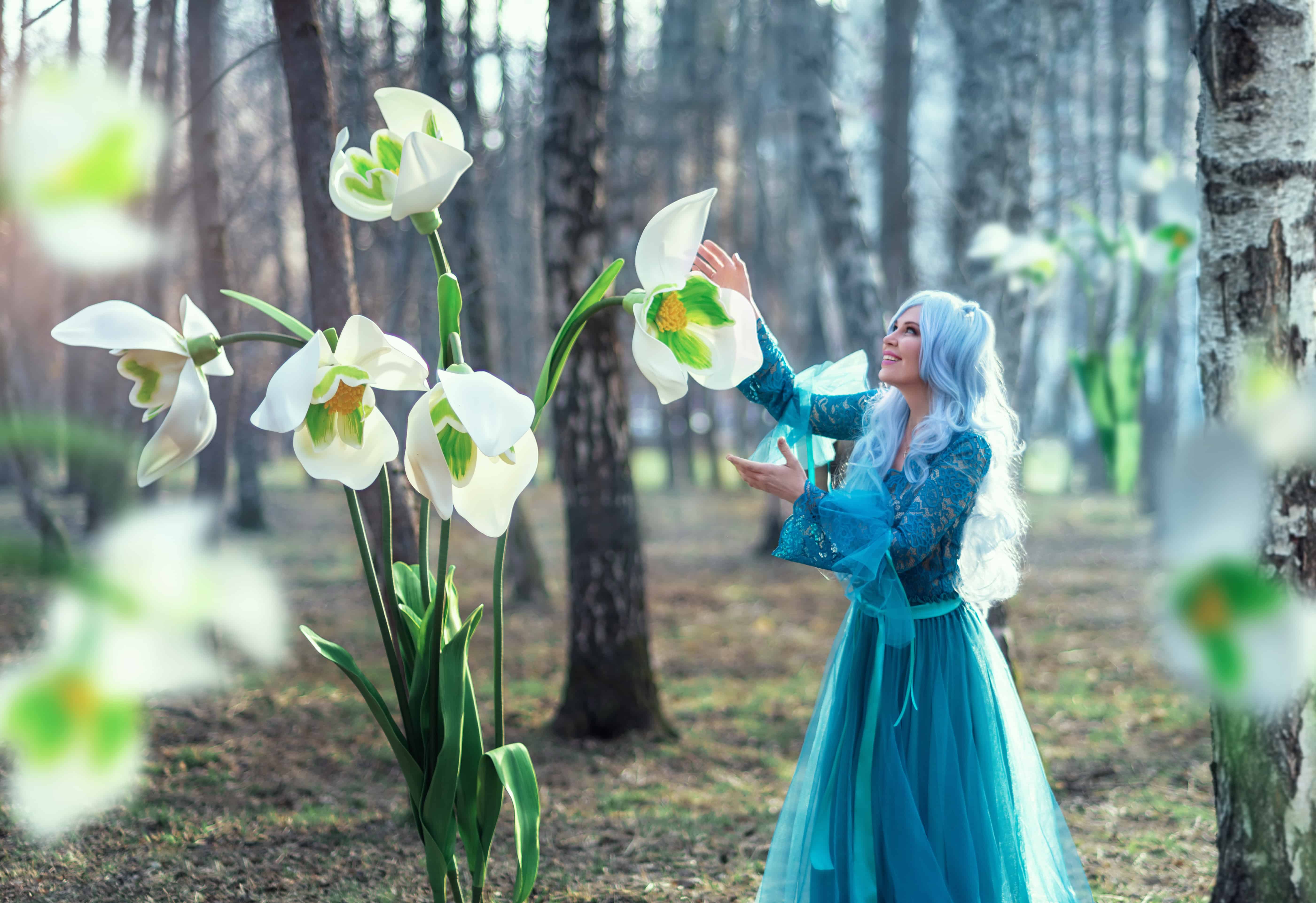 a young beautiful woman in a blue long dress with long blue hair collects snowdrop primroses. Fairy fairy walks in the spring forest. Bouquet of large white flowers