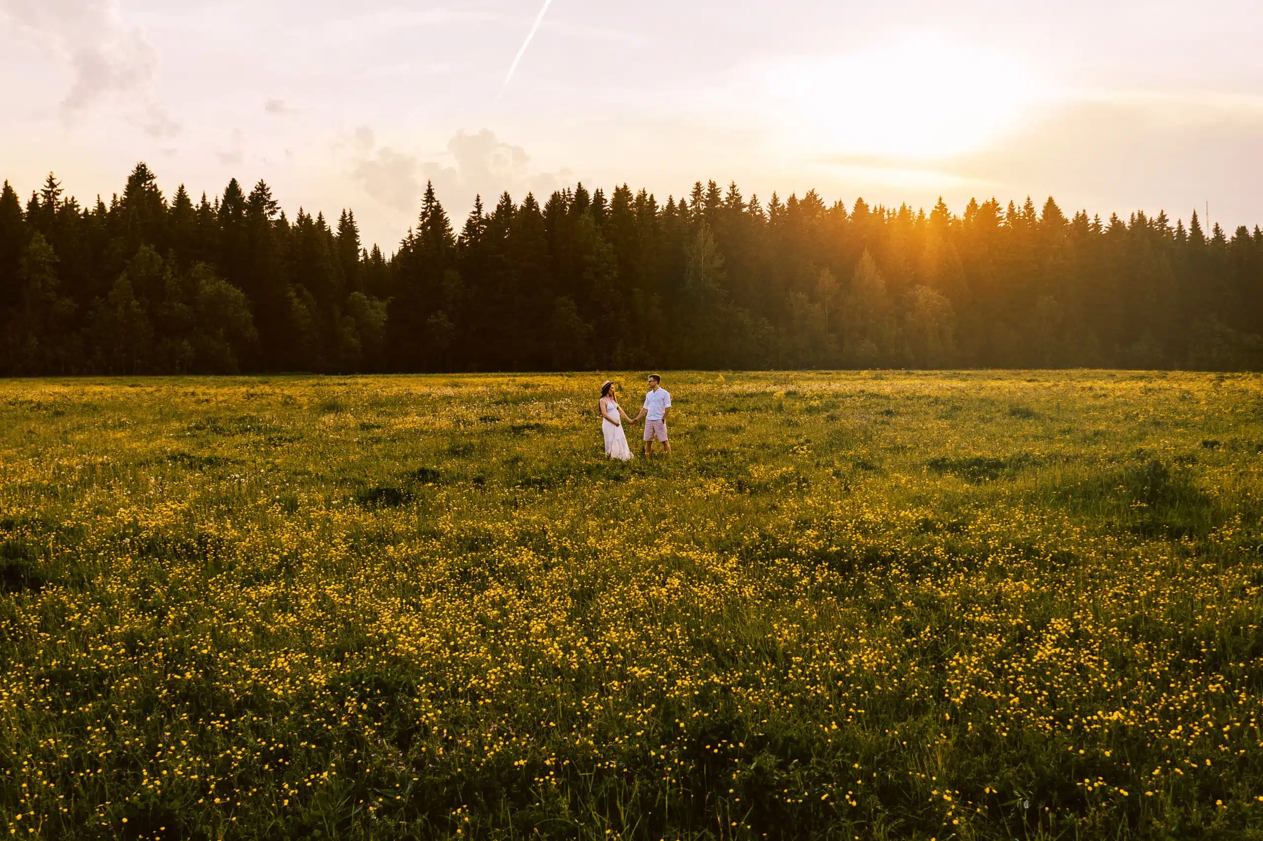 Pregnant loving couple in the field. Sunset.