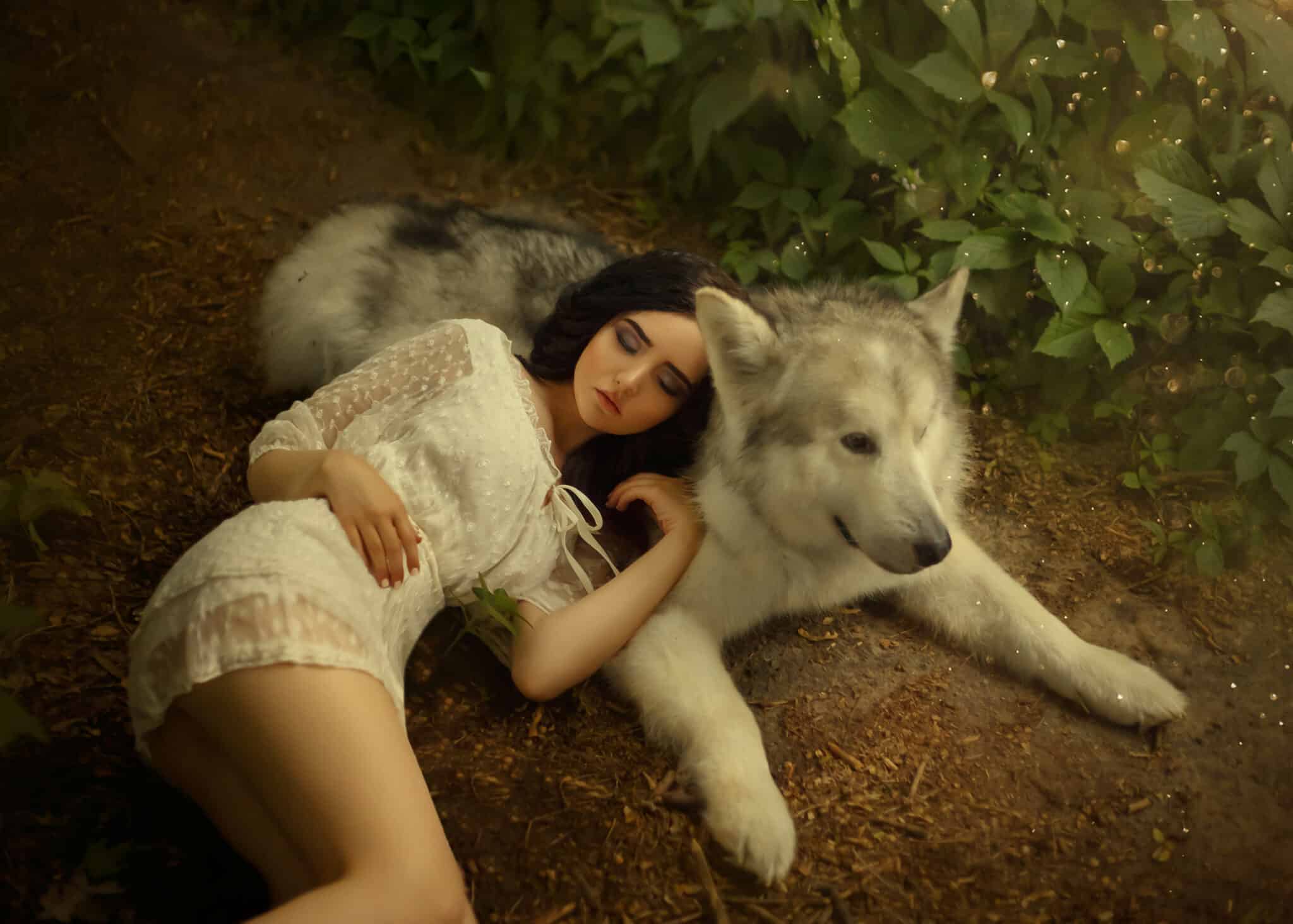 A petite girl with dark hair and soft cute face features is lying on gray-white forest wolf, doll in short white light dress resting on a big dog, a cute and attractive photo of fairy tale dream