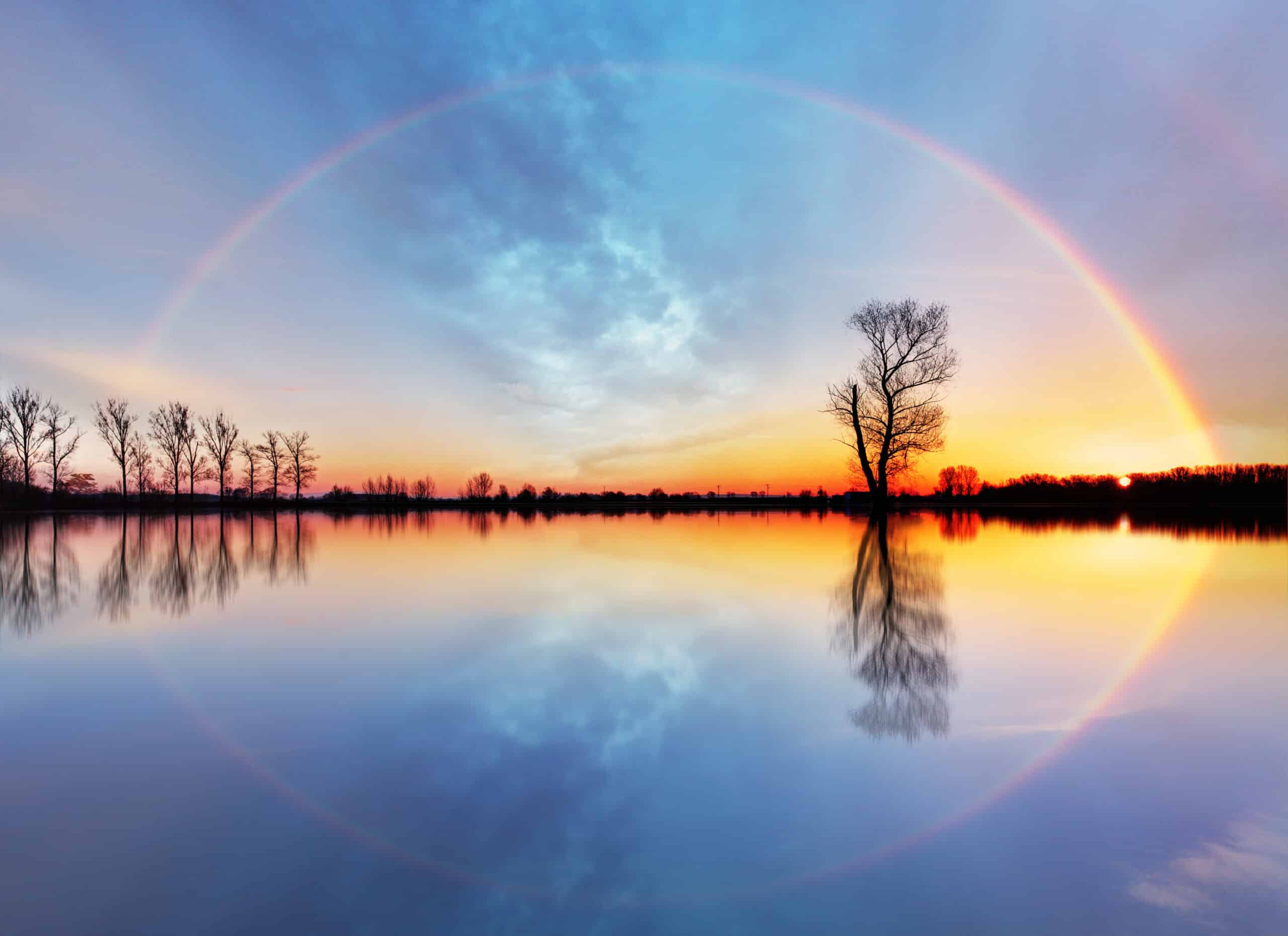 Tree and sun on lake sunrise, sun forming a rainbow-like halo across the sky