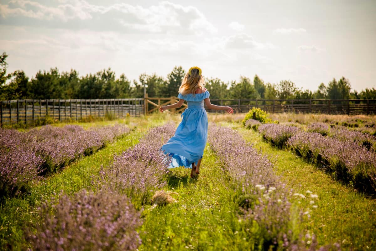 a melancholic blonde woman in blue dress and lavender wreath running in a lavender field