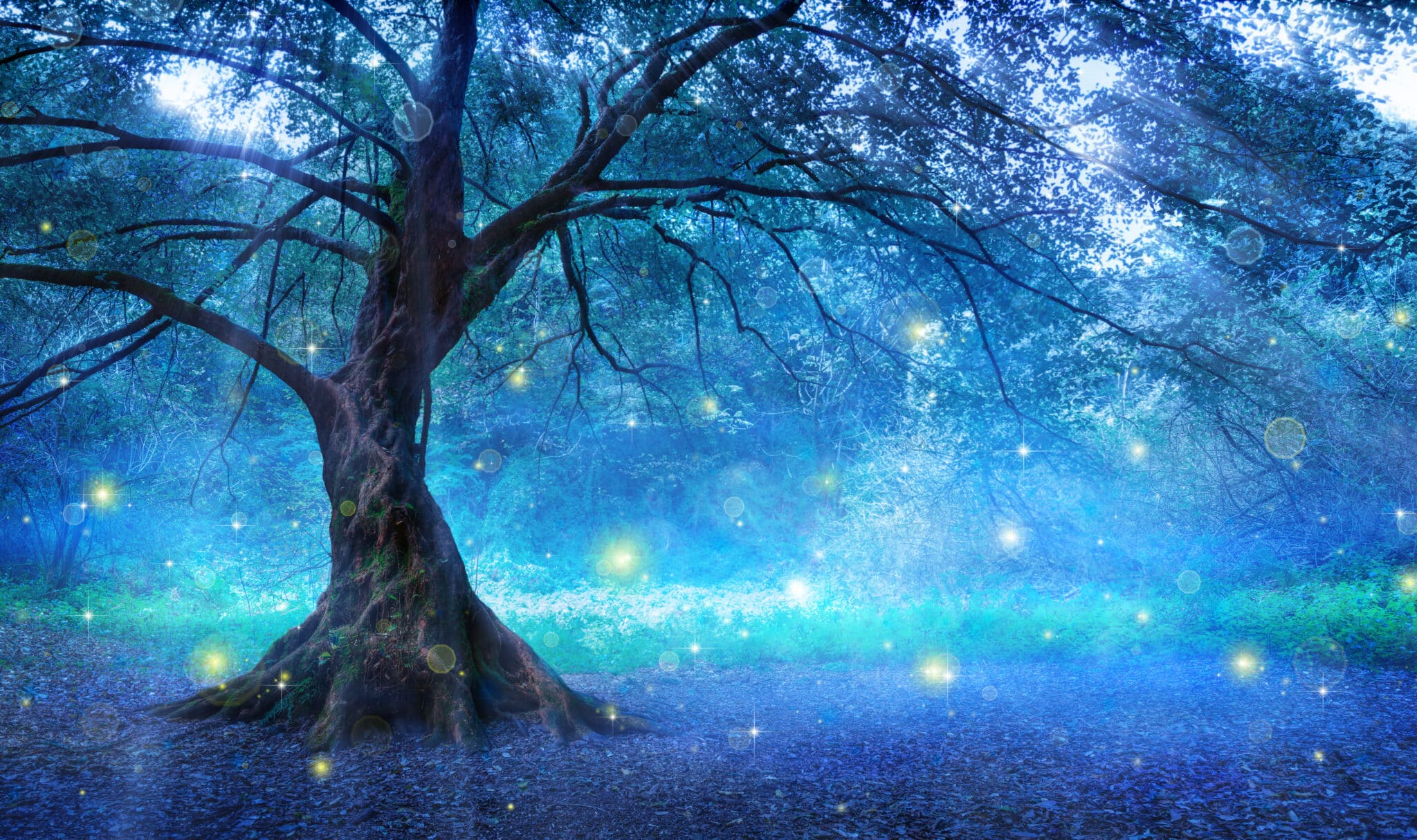 a mystical tree in the forest