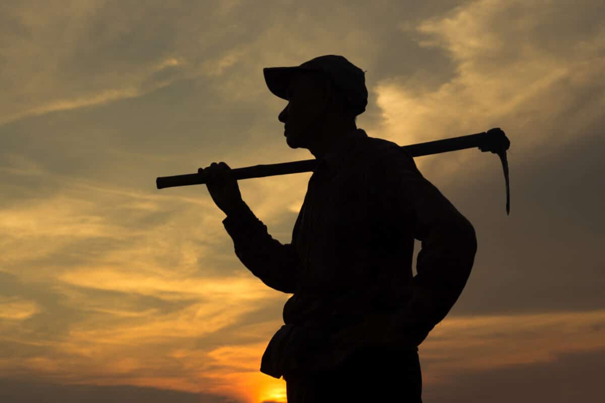 Farmer holding a hoe in the open field at sunset