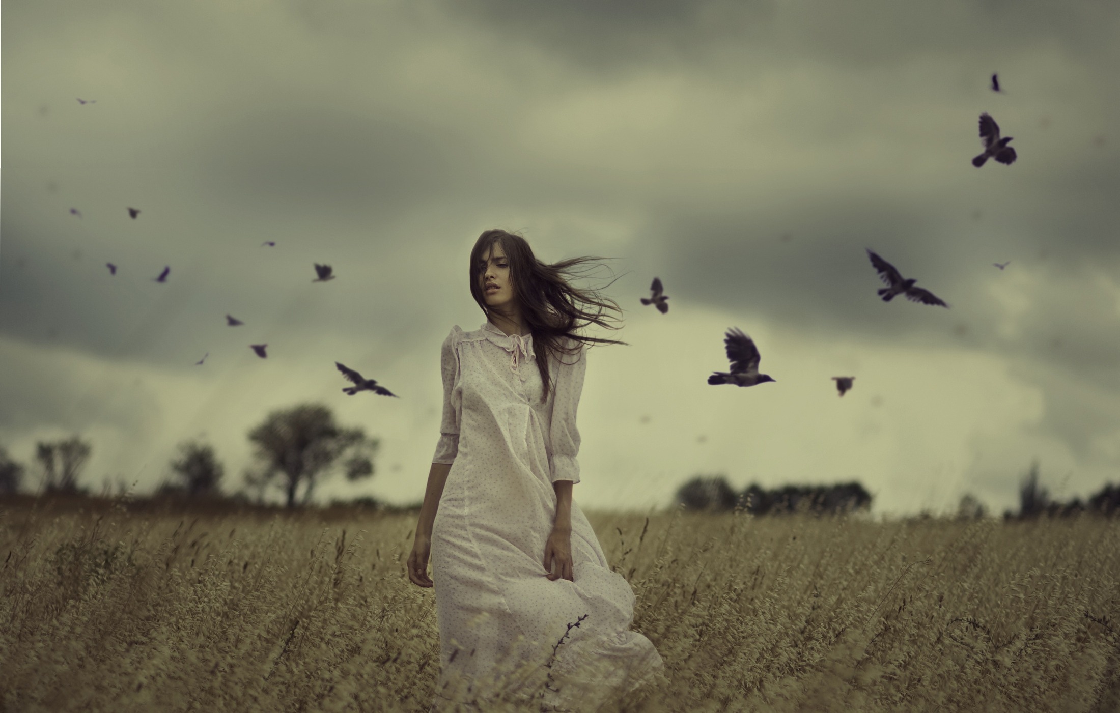 Gloomy but attractive woman in white gown standing in a flower field with black birds hovering around her.