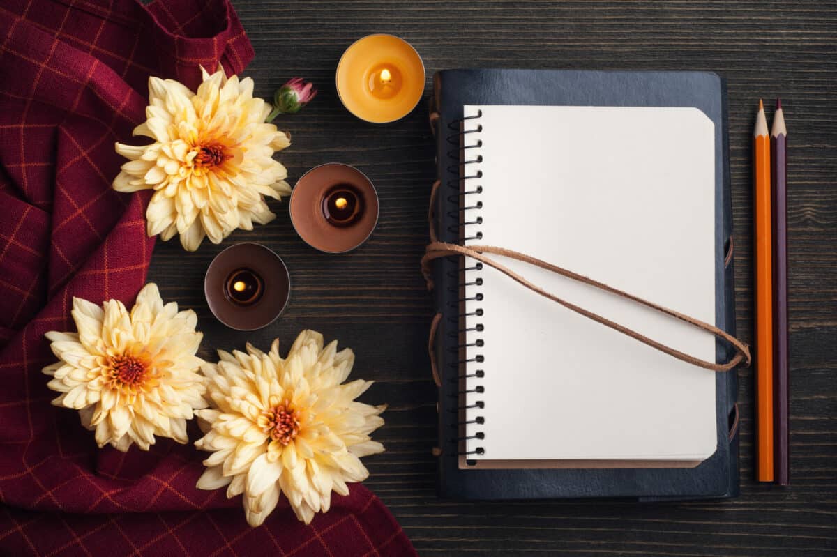 empty notebook with wild chrysanthemum