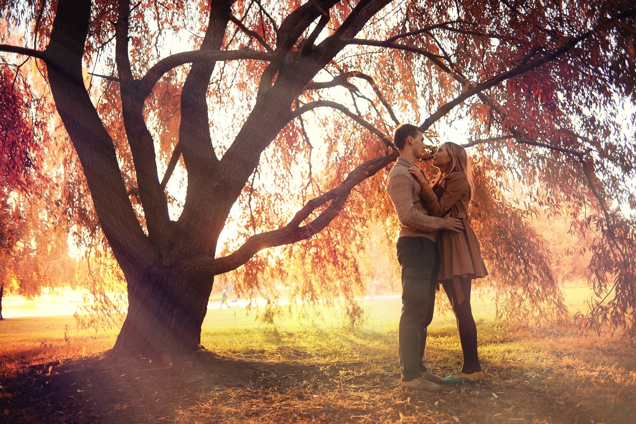 loving couple in autumn park sunbeams sunset