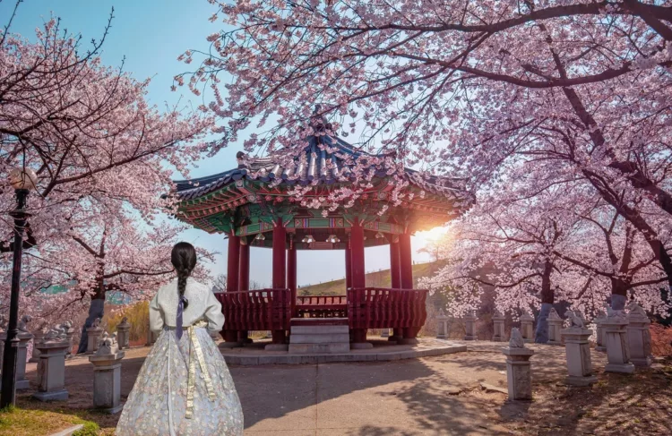 Young Korean lady in traditional hanbok dress at Spring time in Seoul