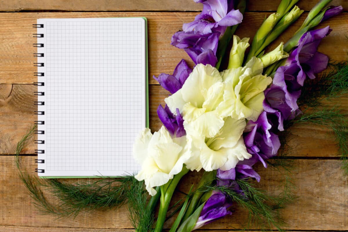 Flowers blue and white gladiolus with a notebook
