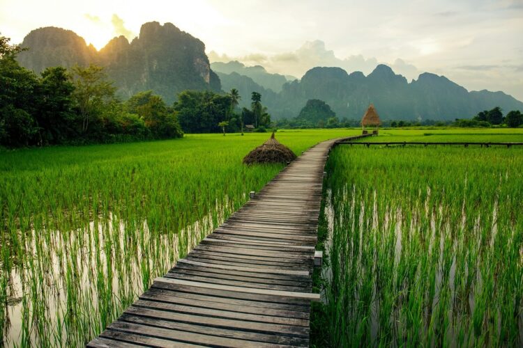 Sunset over green rice fields and mountains in Vang Vieng, Laos