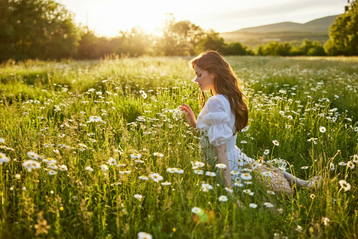 a beautiful woman in a light dress sits in a field of daisies against the sunlight
