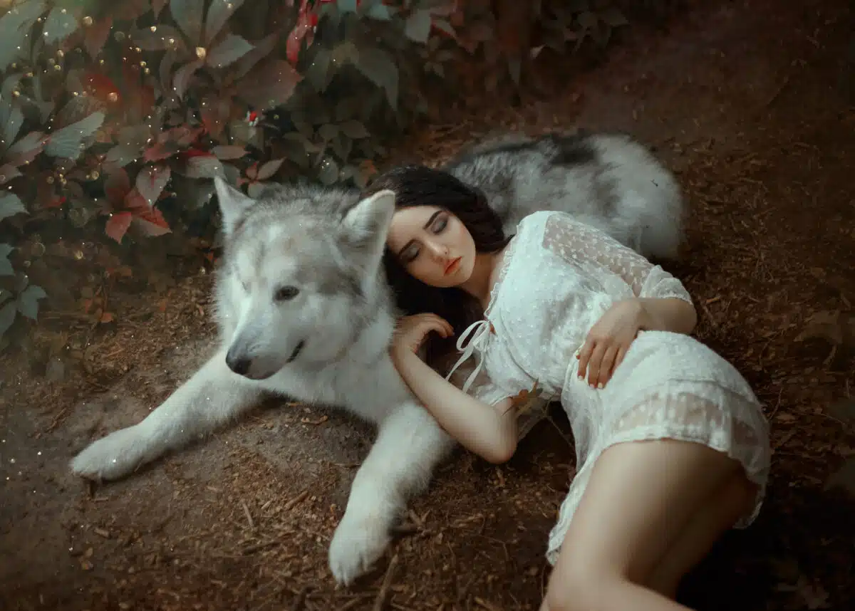 A petite girl with dark hair and soft cute face features is lying on gray-white forest wolf, doll in short white light dress resting on a big dog, a cute and attractive photo of fairy tale dream