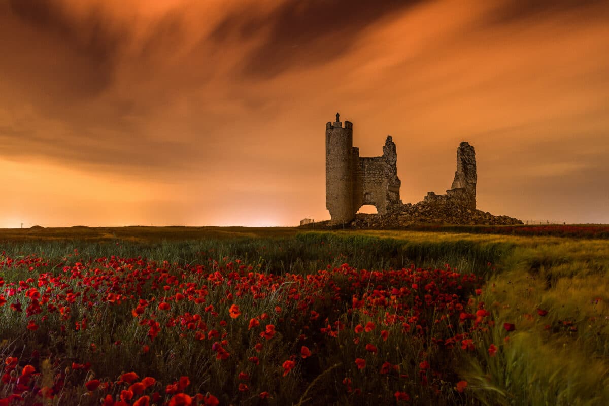 an old dilapidated castle and a field of red poppies