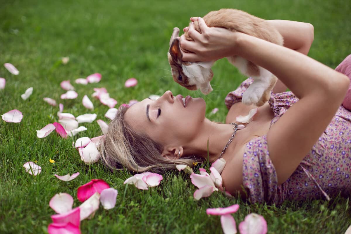 portrait of a beautiful young woman lying on a green meadow with rose petals and holding a rabbit in her hands in front of her face.