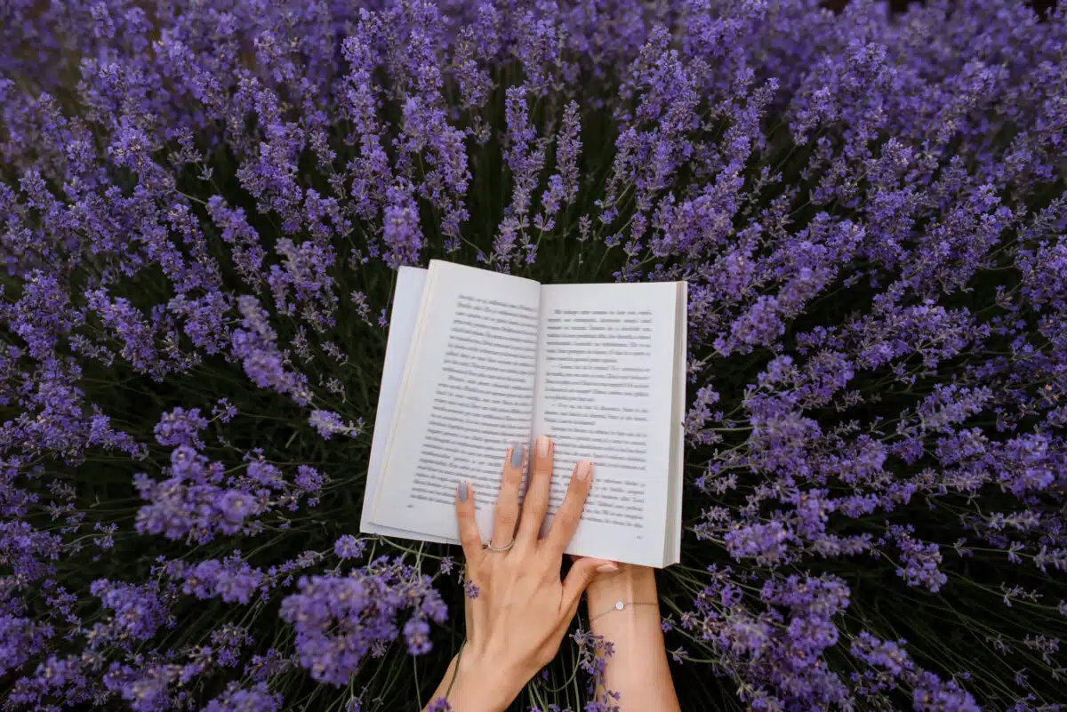 Close up of a young woman reading a book in the lavender field