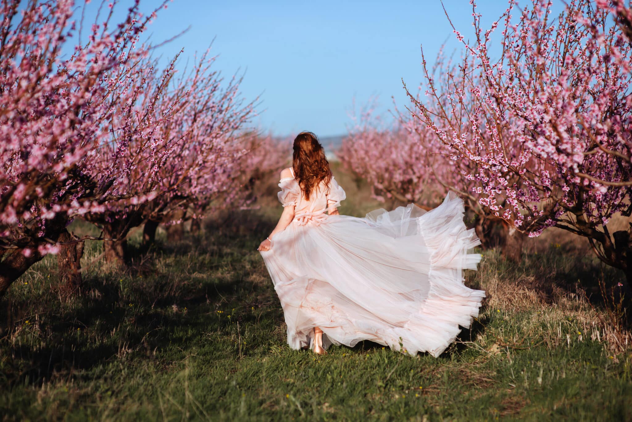 a young girl under the flowering pink tree walking away