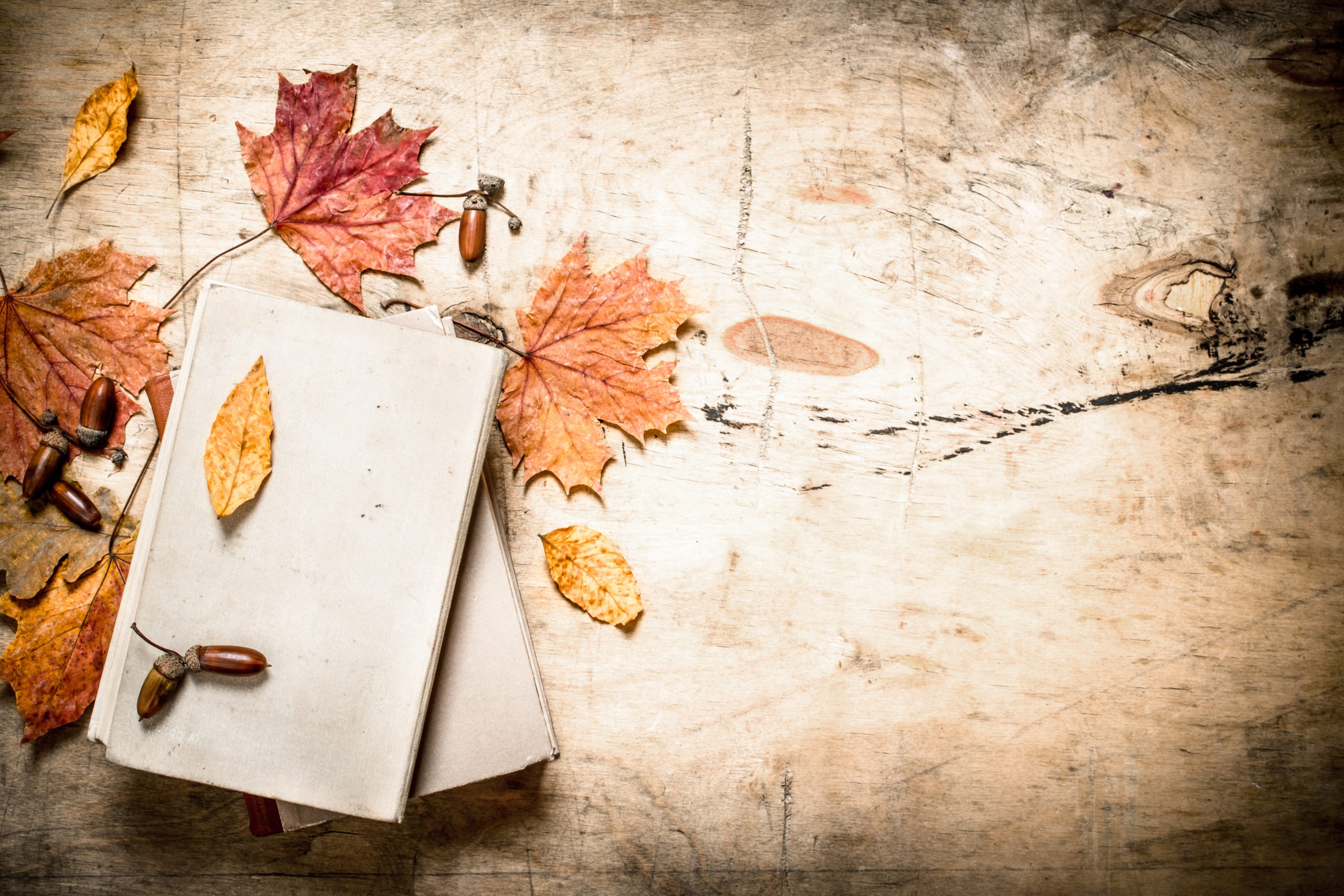 Old books and autumn leaves.