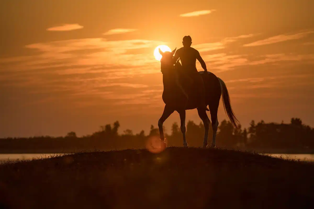 Silhouette of a young man riding a horse at 
sunset