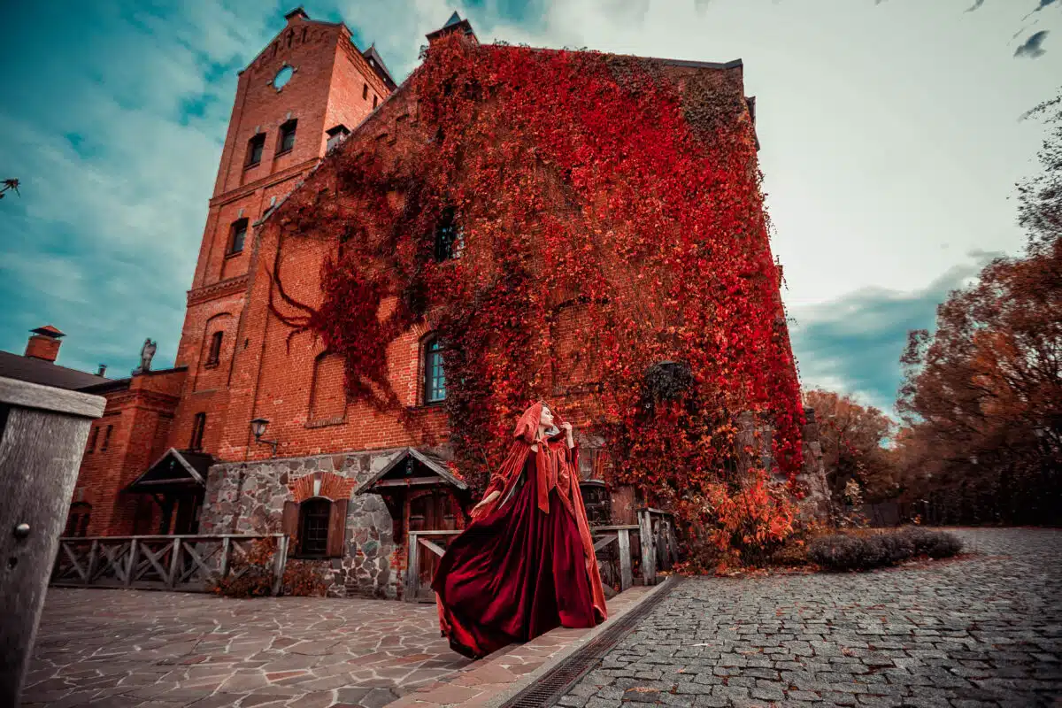 Beautiful girl in a burgundy coat and red dress on the backgroun
