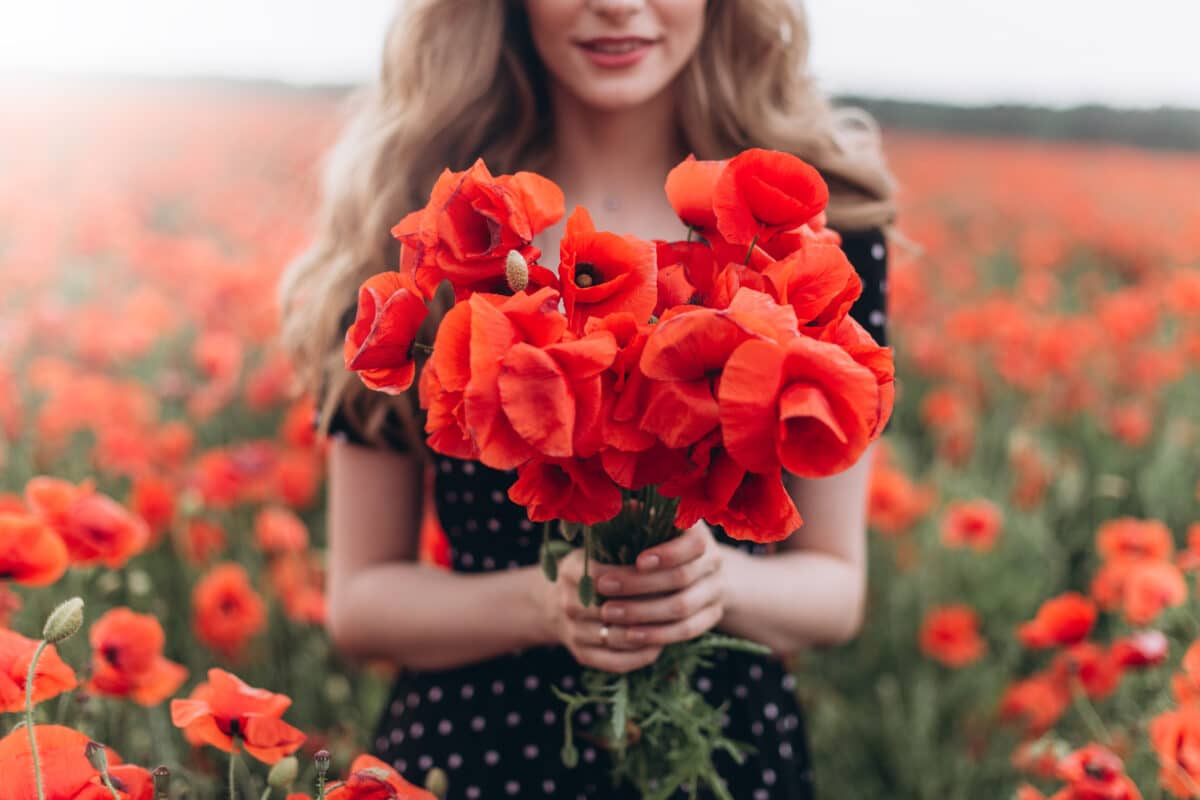 smiling blond woman holding a bouquet of red poppies in a poppy field