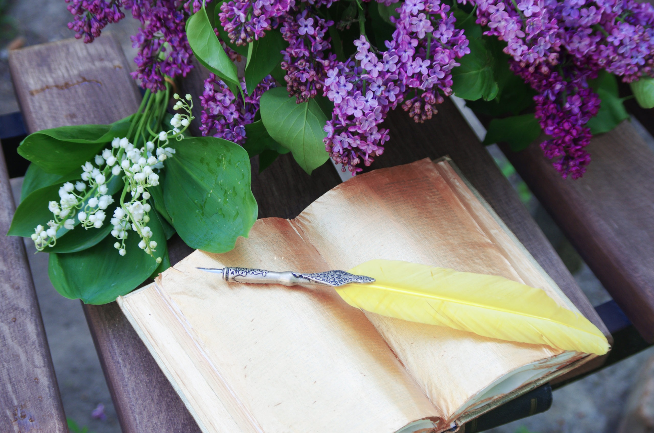 An open book, a yellow quill pen, a bouquet of lilacs and lilies of the valley on wooden desk.