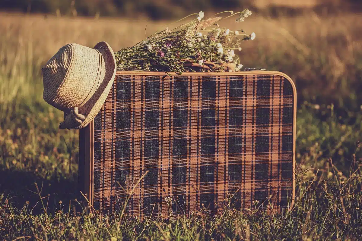 An old suitcase,a hat and flowers in the grass.