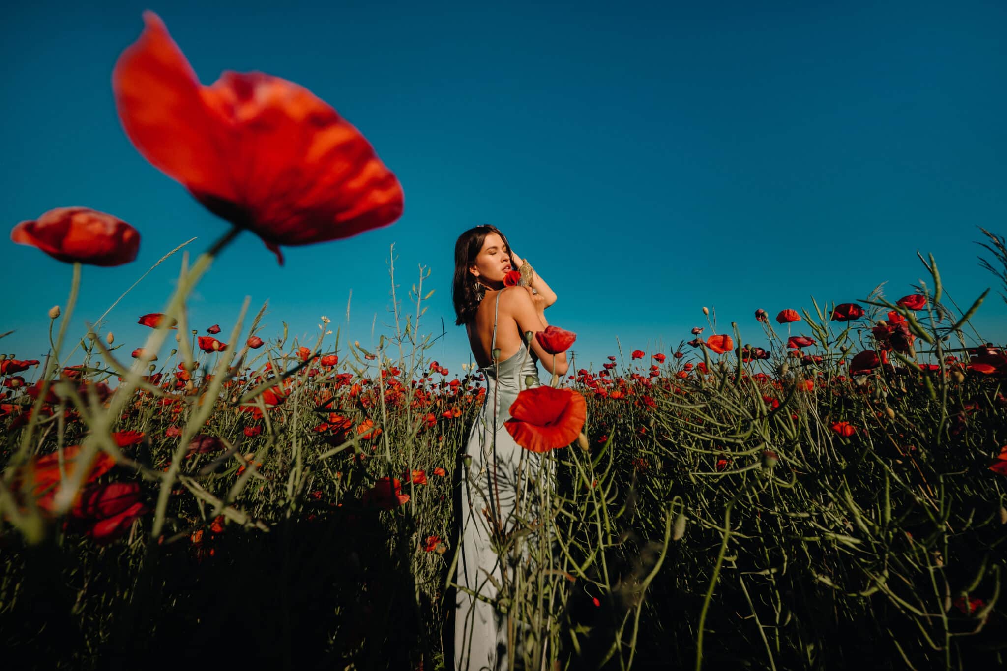 a girl in a dress on a poppy field at sunset