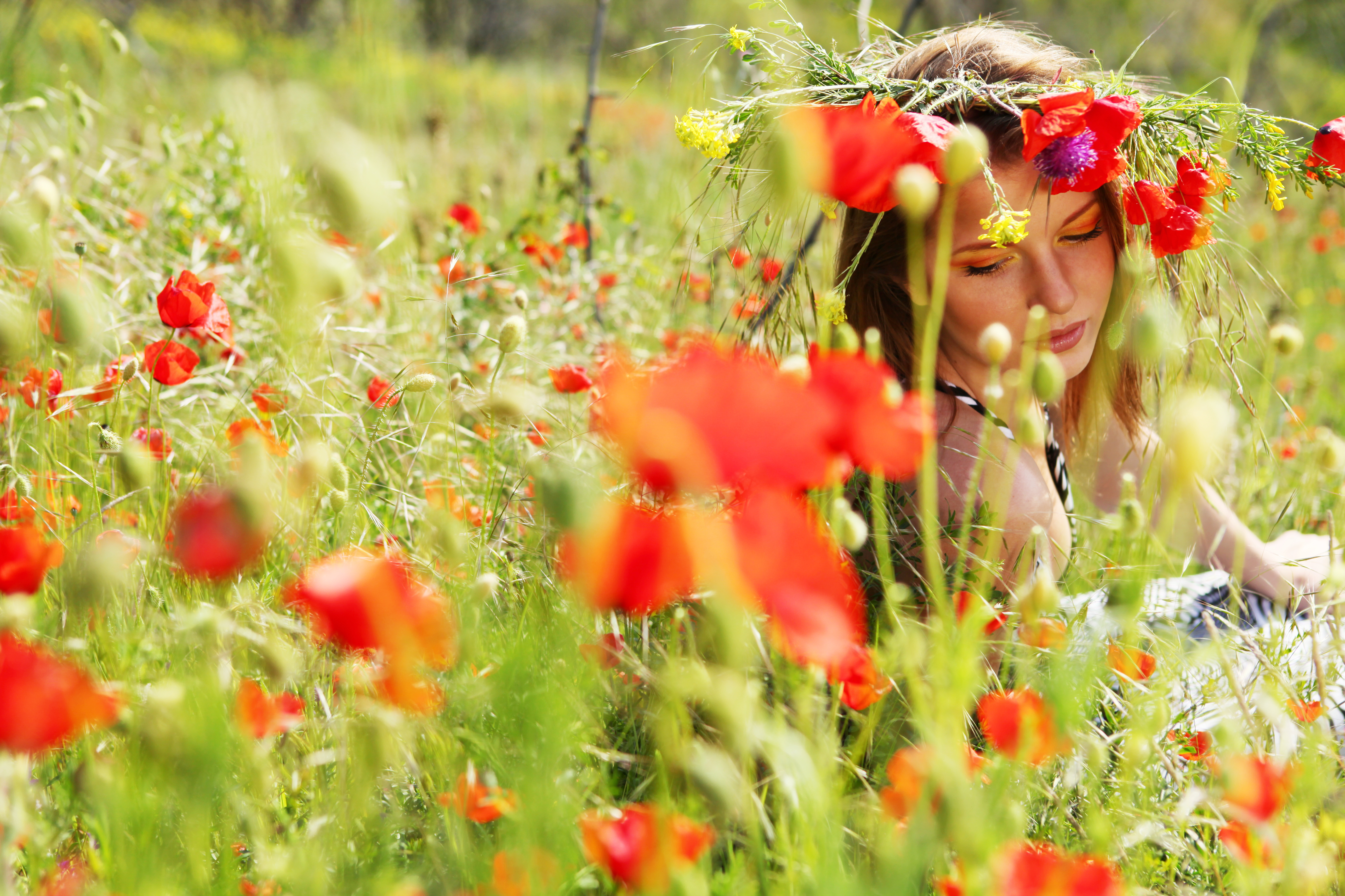 woman in the field of poppy flowers 
