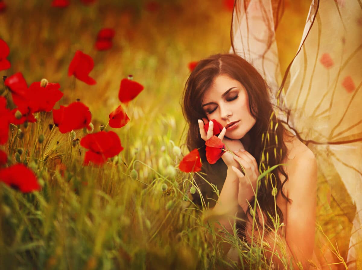 pretty fairytale woman with butterfly wings in the poppy field