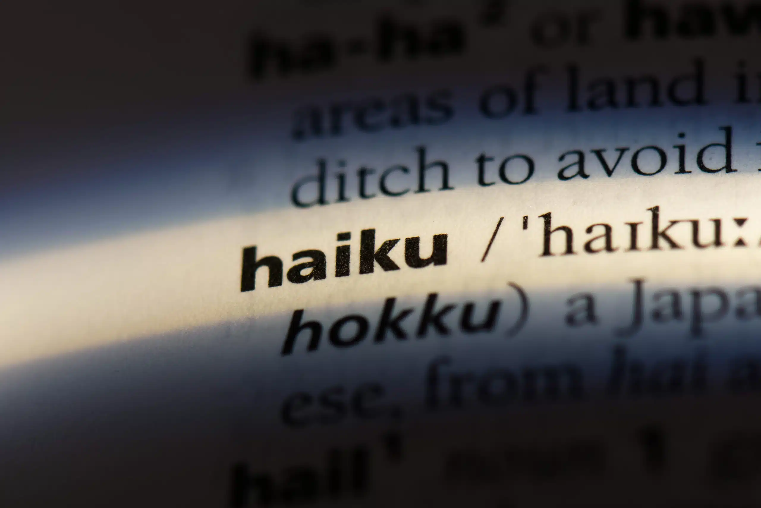 haiku in the dictionary