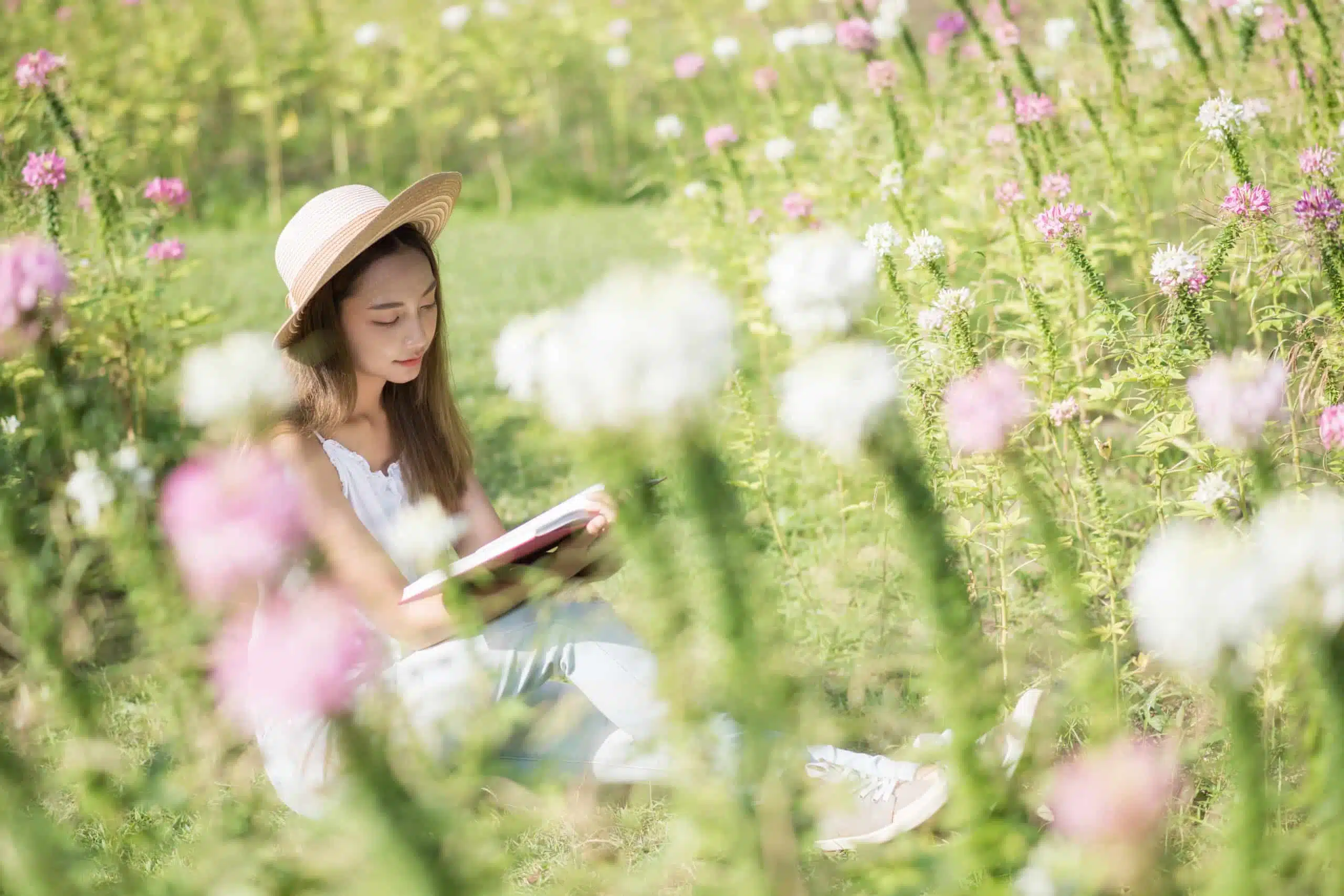 Beautiful Asian girl read book at flower field