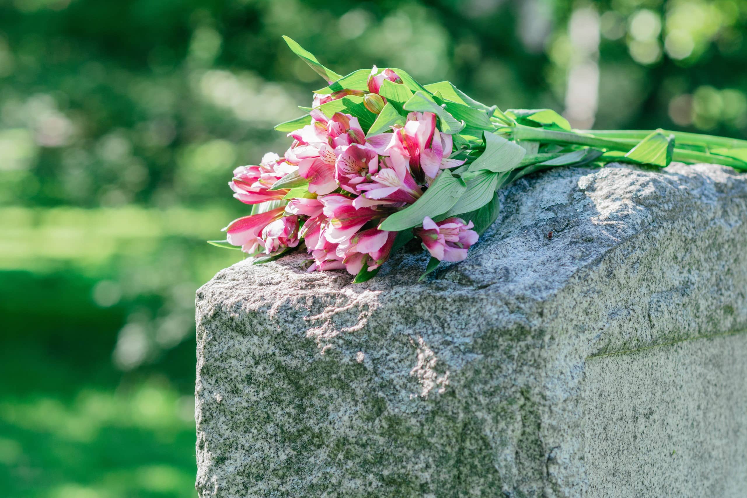Pink flowers placed on top of headstone in cemetery.