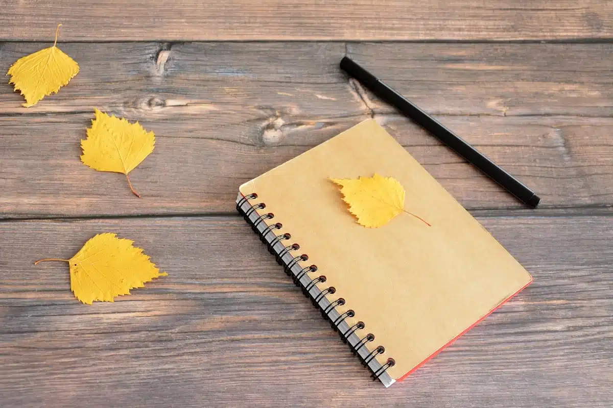 notepad with black pen and autumn leaves on wooden desk outdoor.