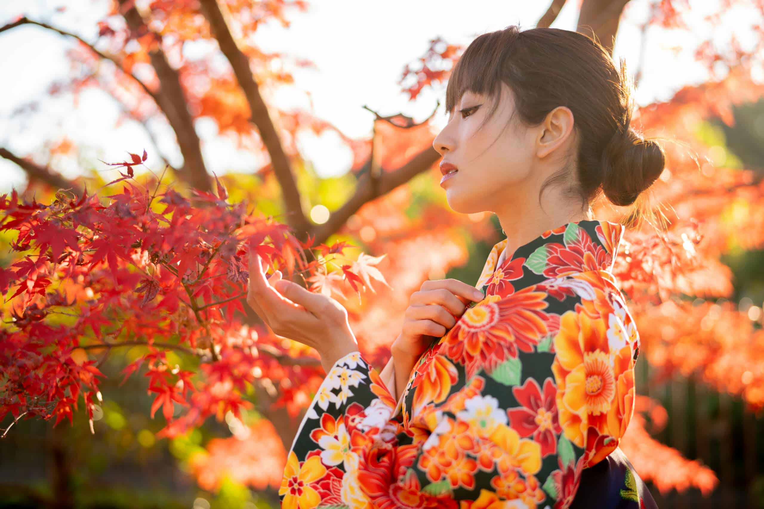 Beautiful Japanese woman wearing a traditional dress outdoor in autumn.