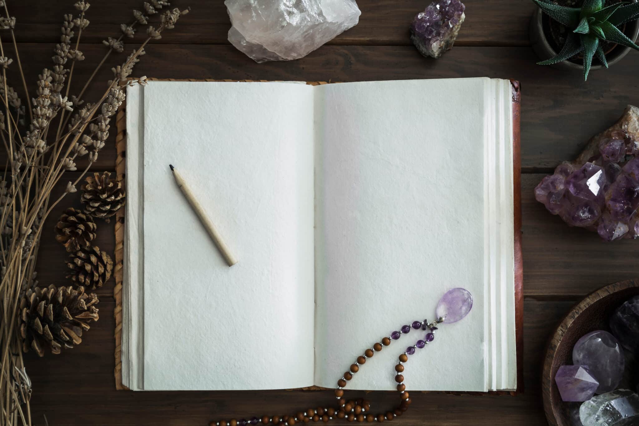 Open Notebook Surrounded by Crystals Plants and Foliage