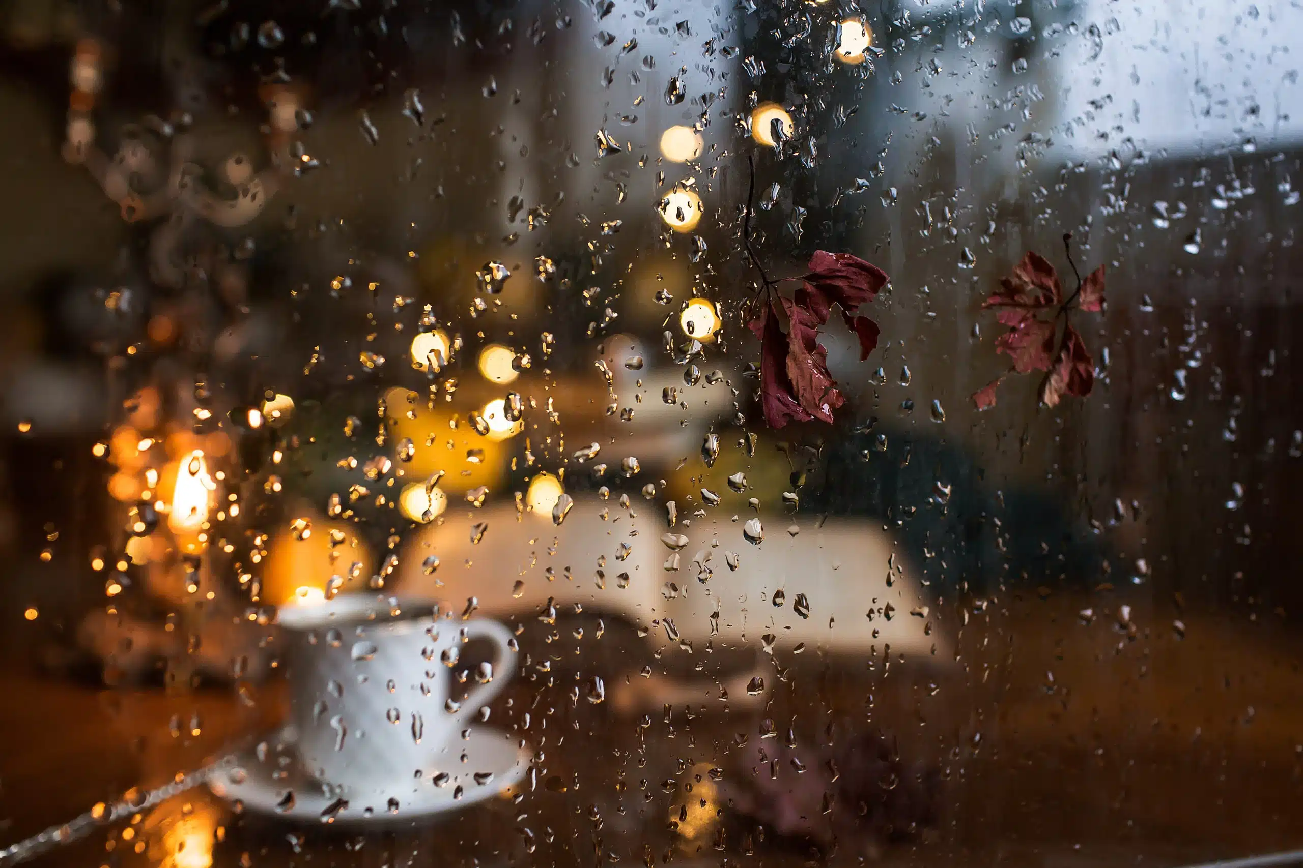 Raindrops, cup of coffee, and a book.