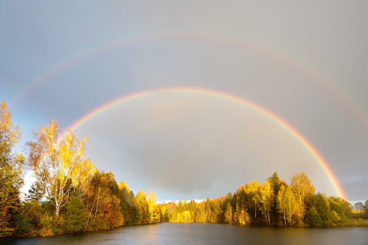 Rainbow over calm water of a forest lake