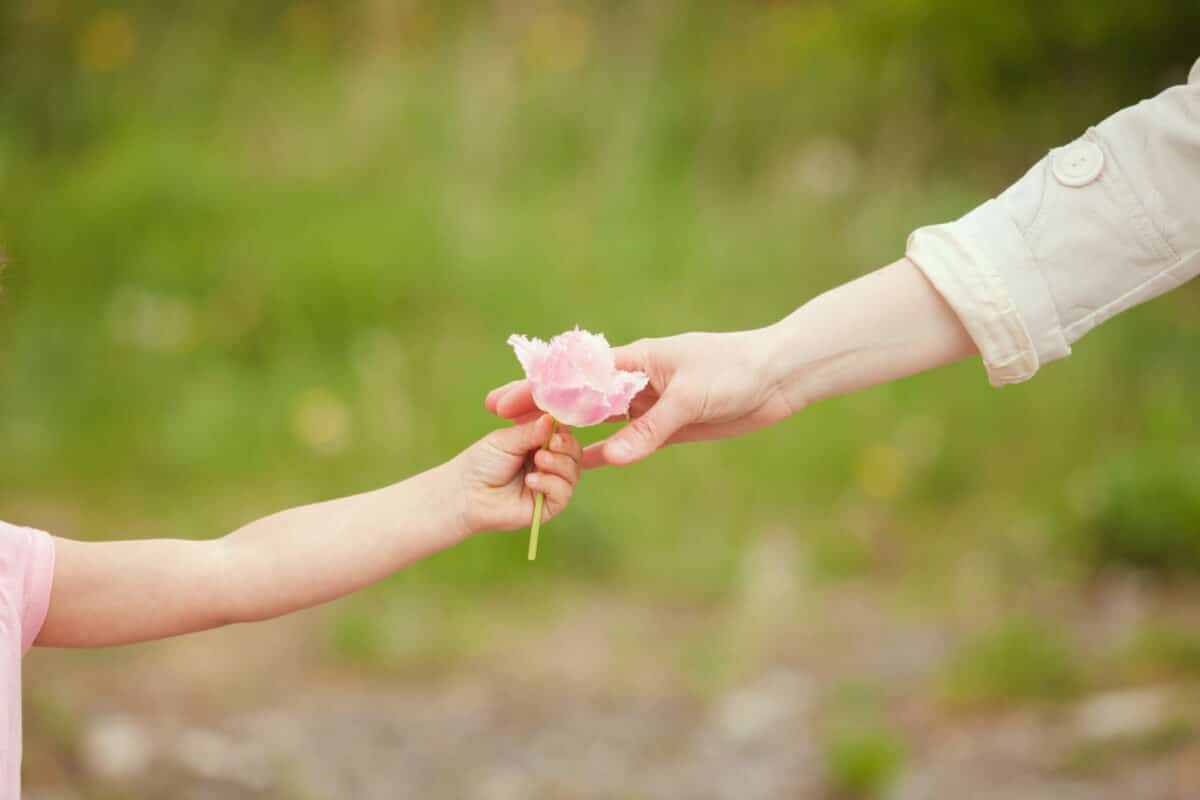 child gives a flower to woman hand