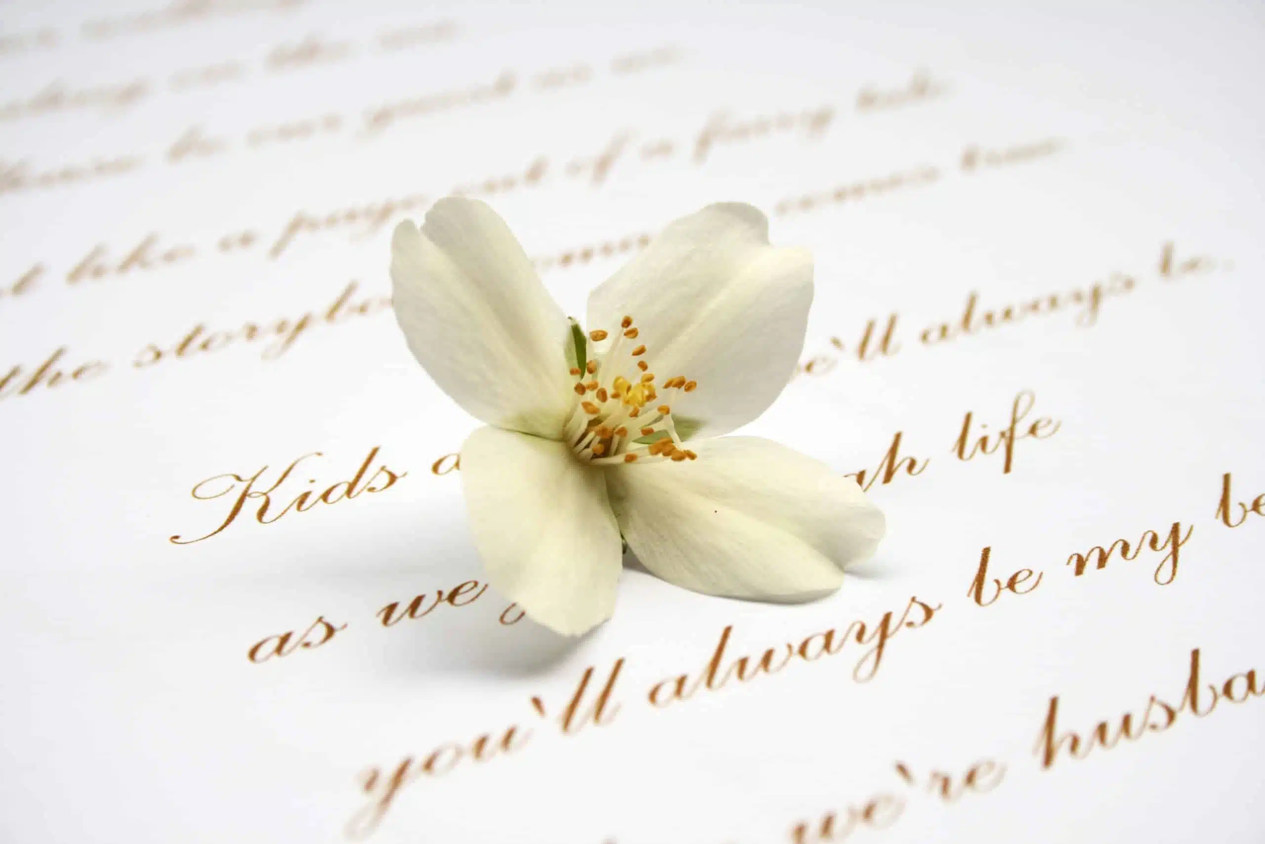 little white blossom sitting on top of paper with poem.
