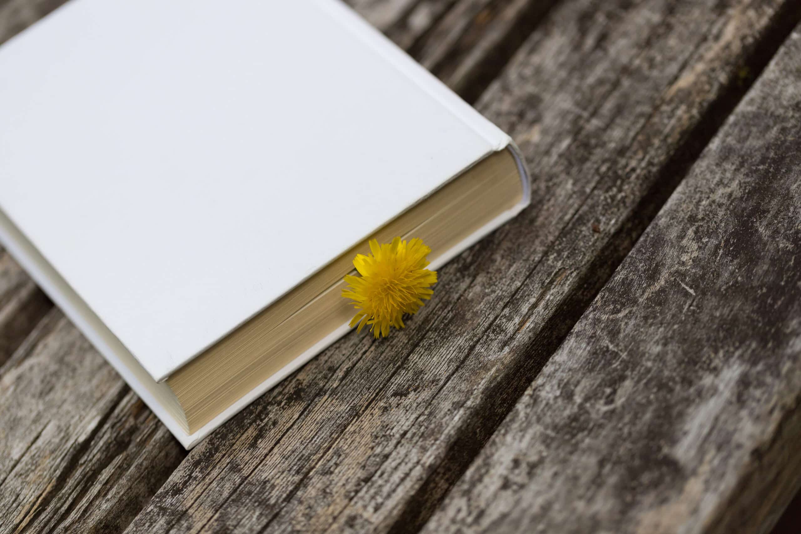 white book with yellow flower on wooden table outdoor