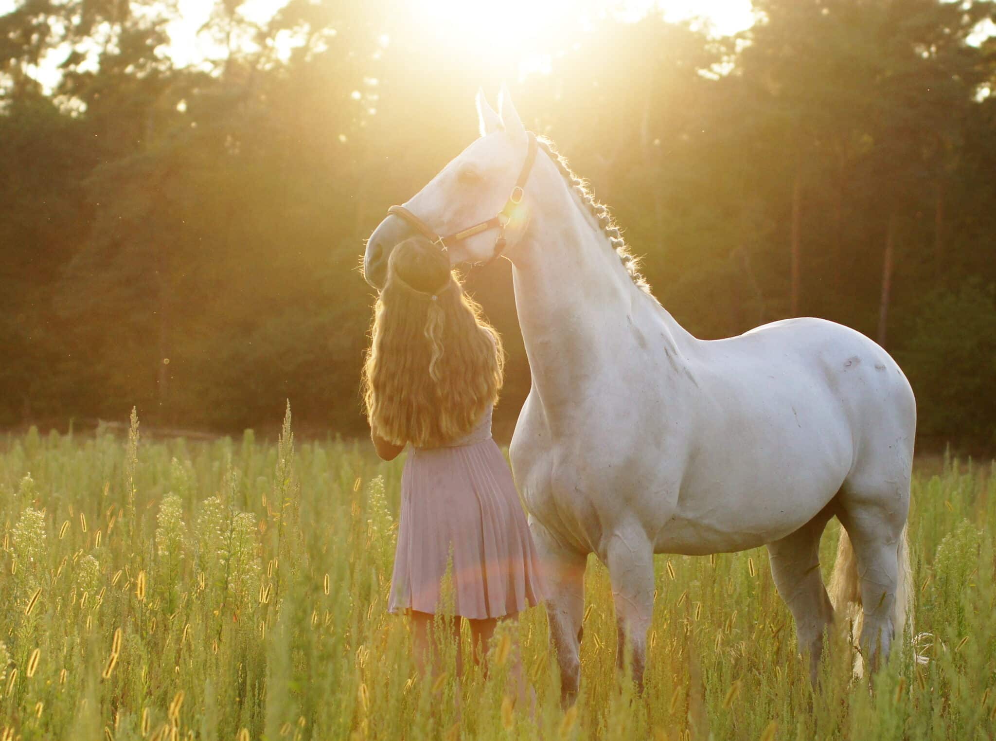 young woman in pink dress and white horse on meadow in summer