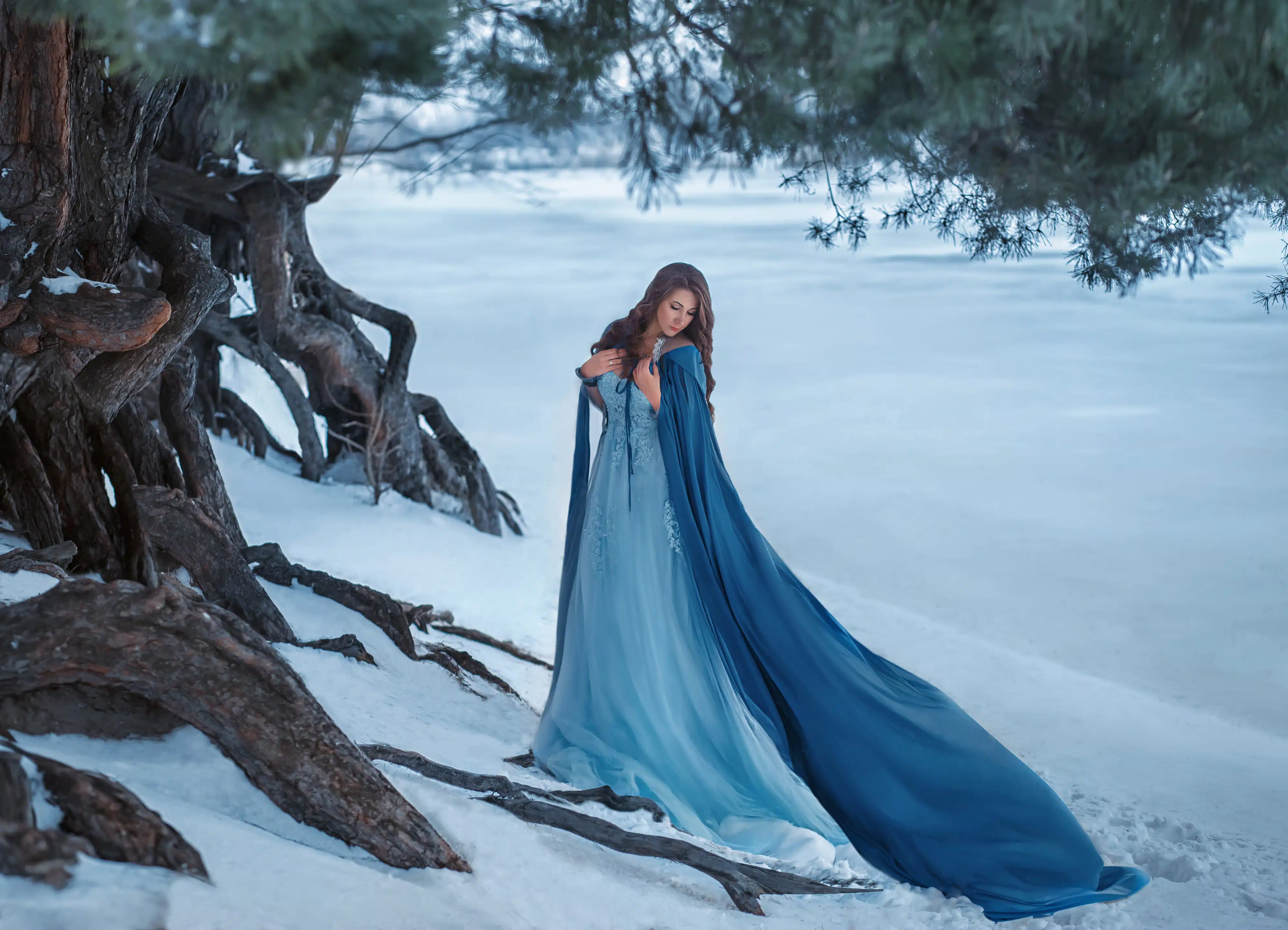 A mysterious wanderer in a luxurious dress and a blue cloak that flutters in the wind. 